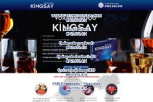 Mẫu website Giải rượu Kingsay – TU